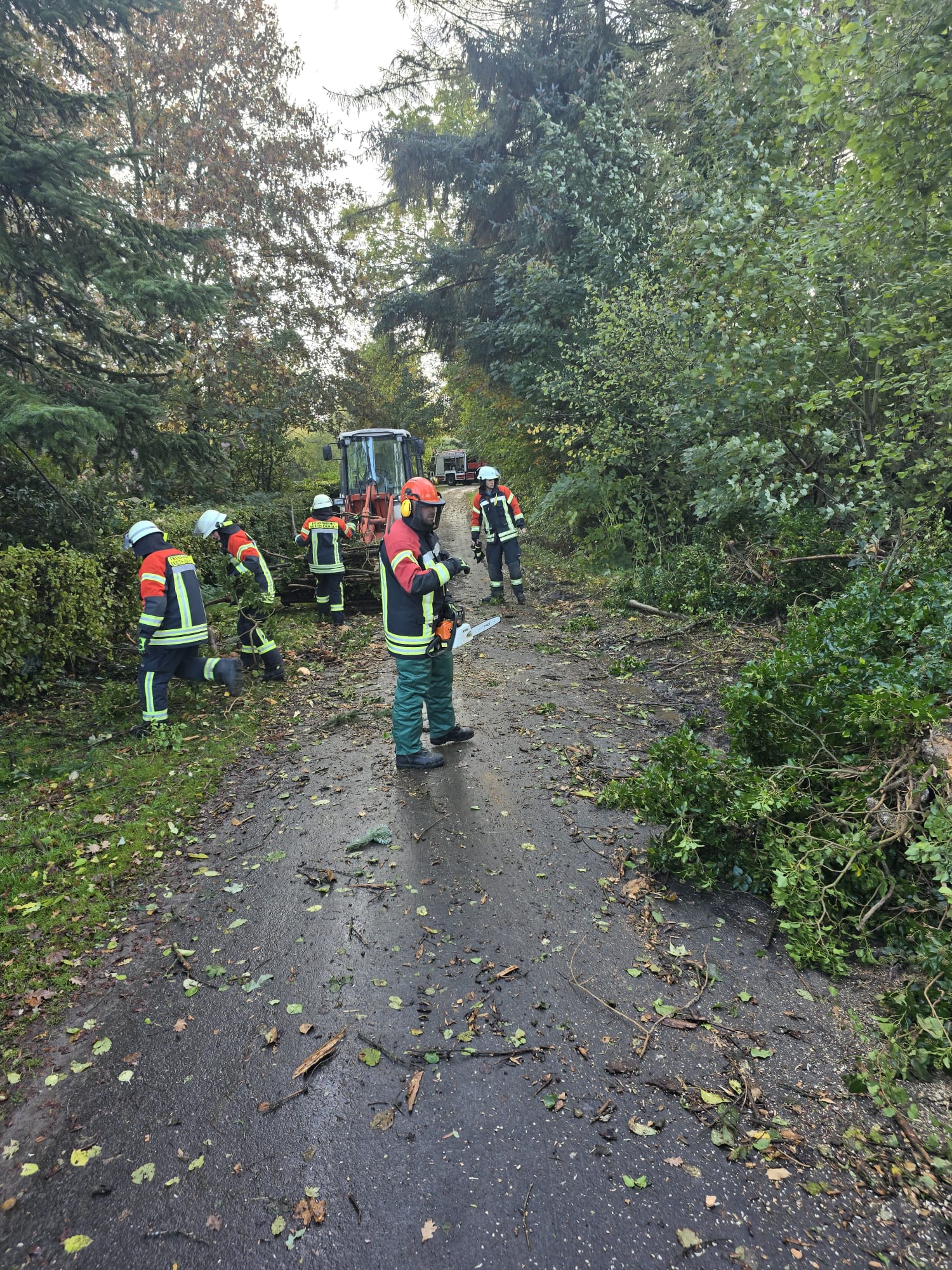 Einsatzbild Freiwillige Feuerwehr Seeth-Ekholt